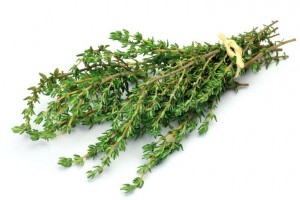Thyme from Kenya